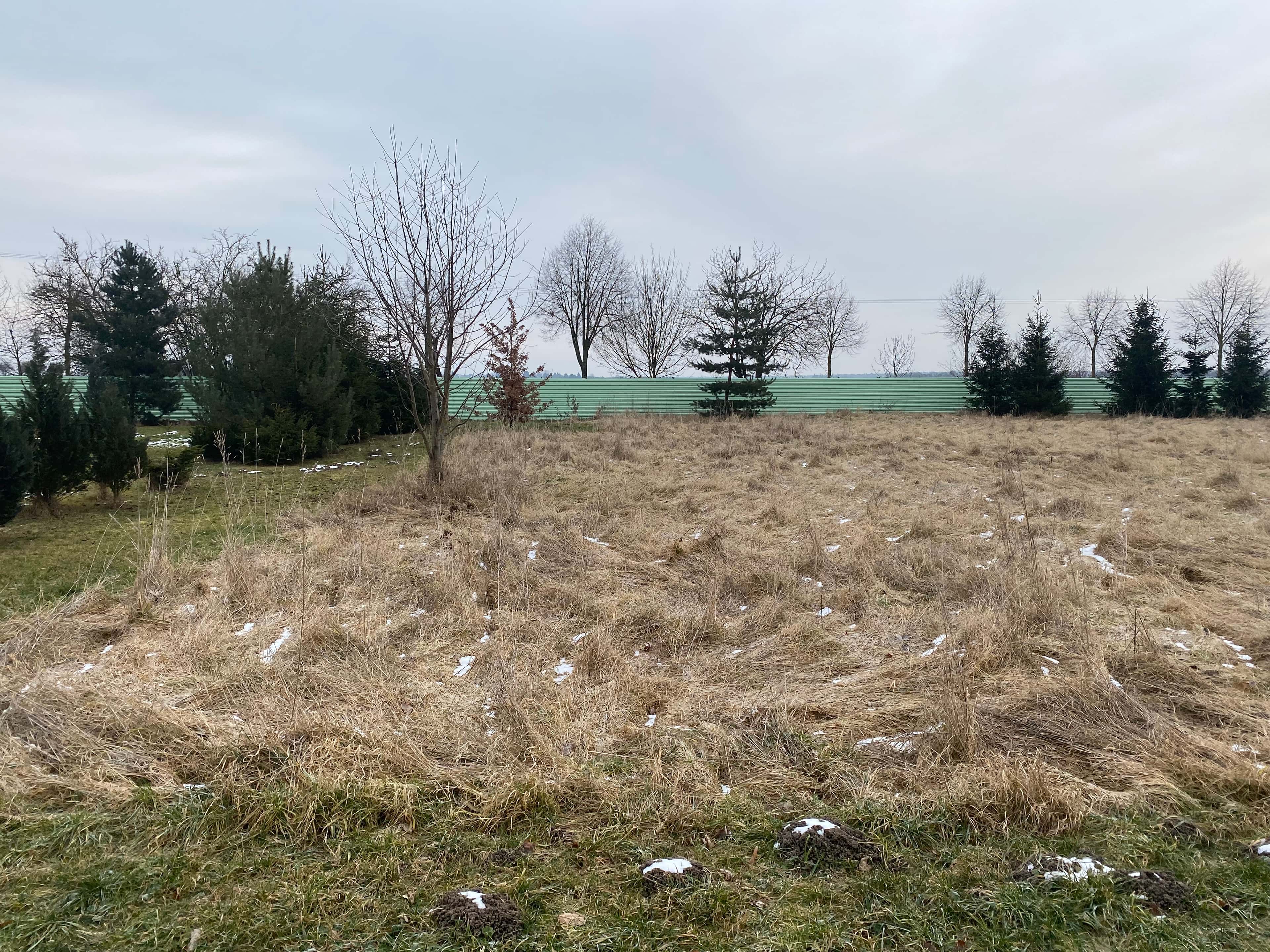 Immobilie in Sandersdorf-Brehna – Bild 2