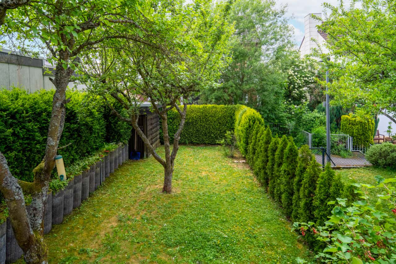 Reiheneckhaus in Taunusstein – Bild 4