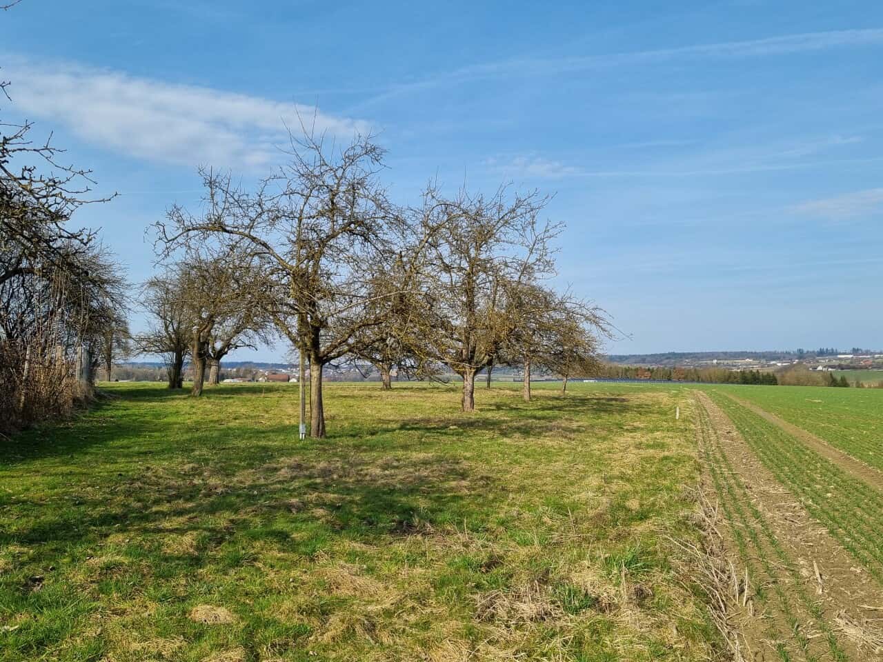 Bauernhaus in Neuburg am Inn – Bild 5