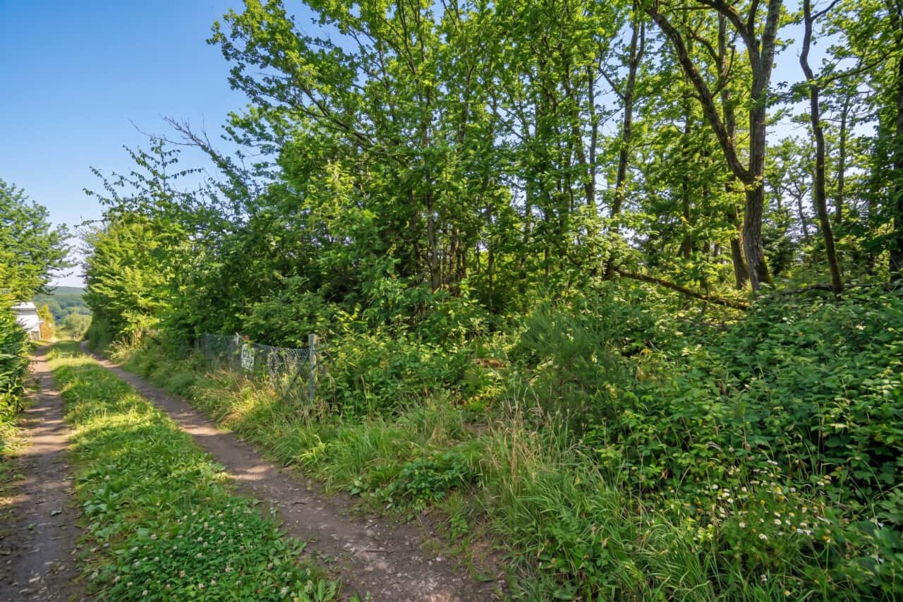 Wohngrundstück in Langgöns – Bild 3