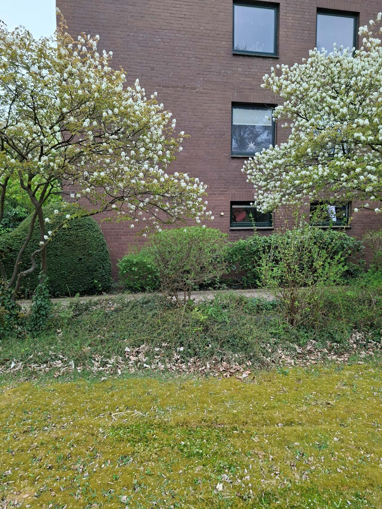 Erdgeschosswohnung in Hamburg – Bild 3