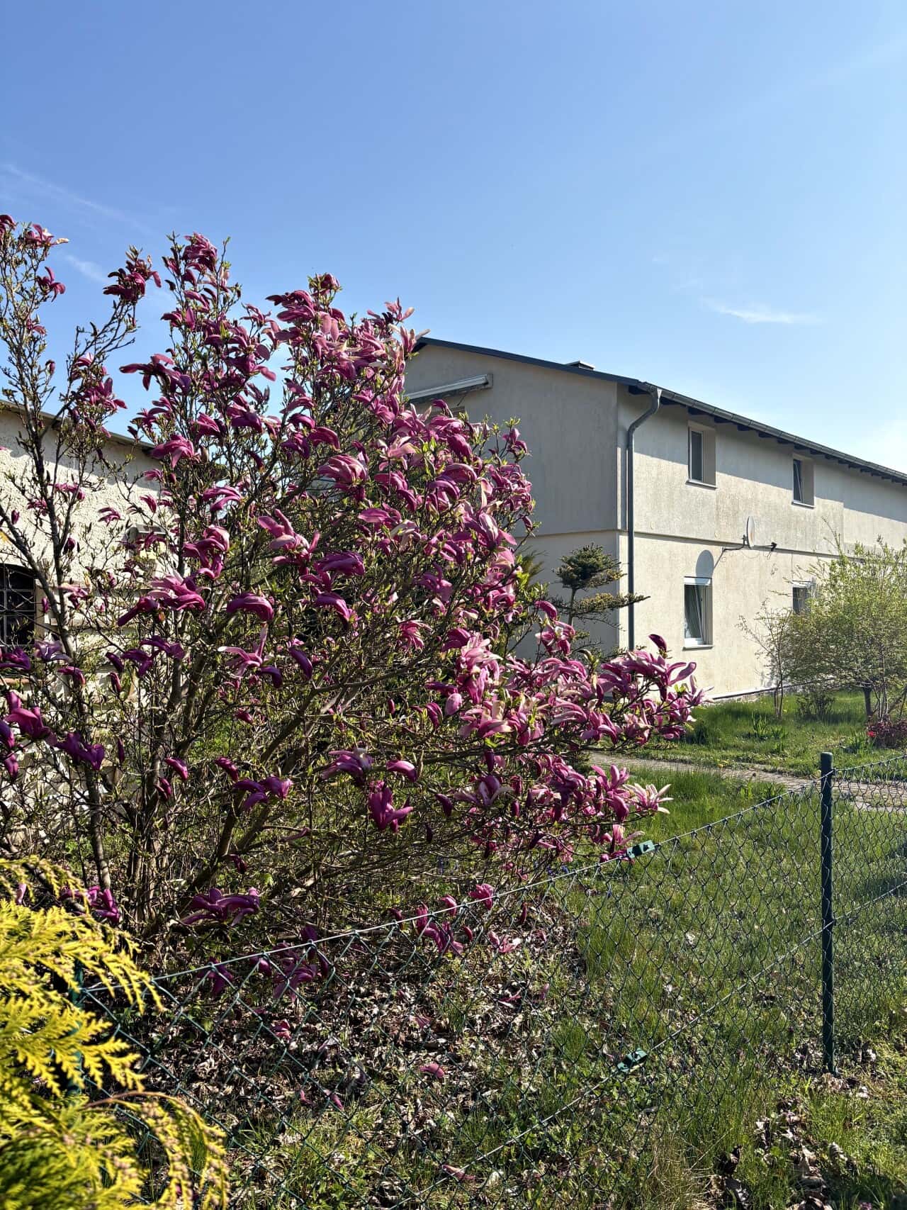 Doppelhaushälfte in Jatznick – Bild 1