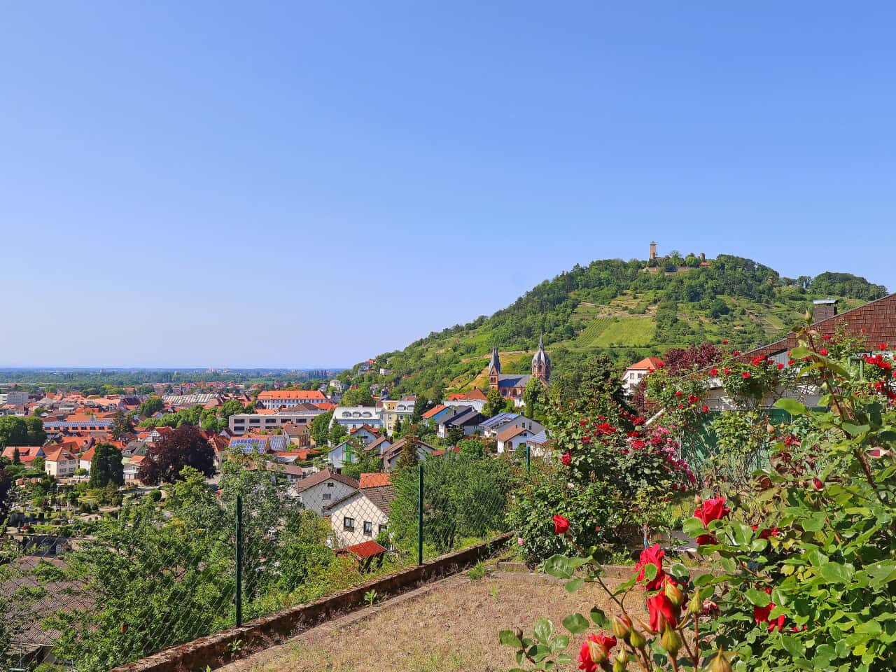 Einfamilienhaus in Heppenheim – Bild 1