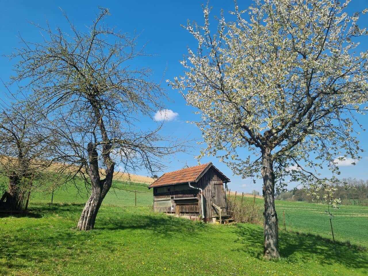 Bauernhaus in Dorfen – Bild 2