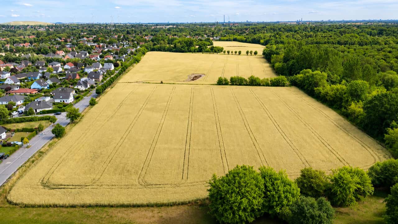 Wohngrundstück in Panketal – Bild 1