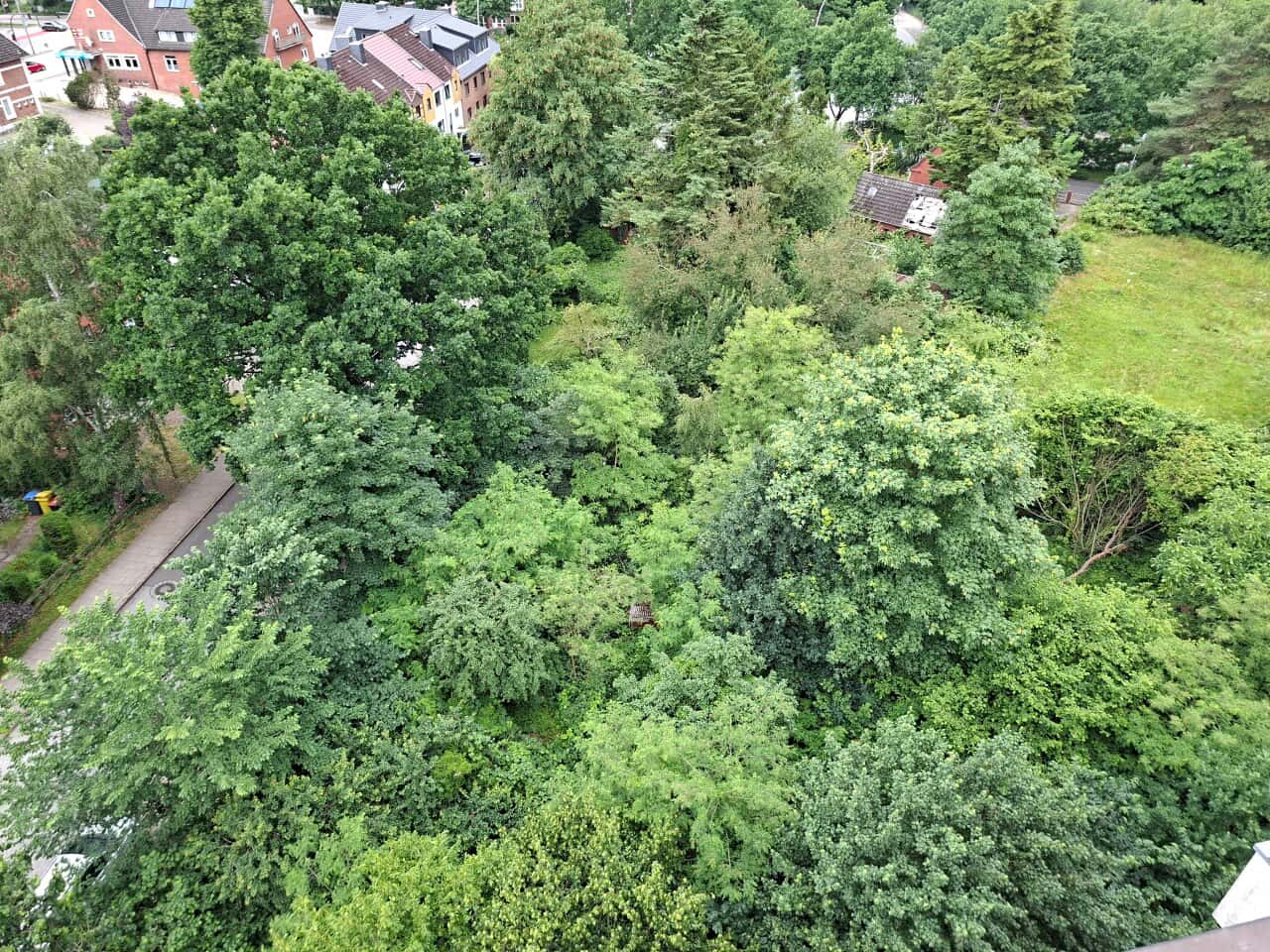 Erdgeschosswohnung in Hamburg – Bild 4