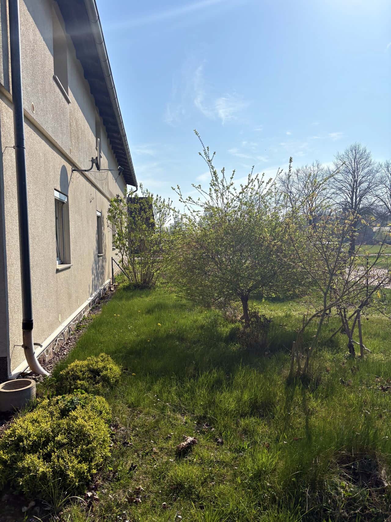 Doppelhaushälfte in Jatznick – Bild 3