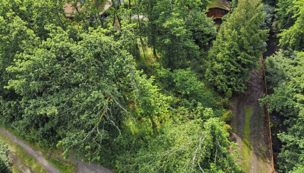 Wohngrundstück in Langgöns – Bild 4