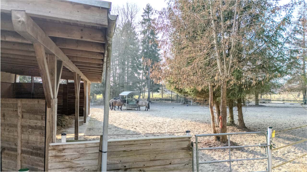 Reiterhof in bei Bremen – Bild 5