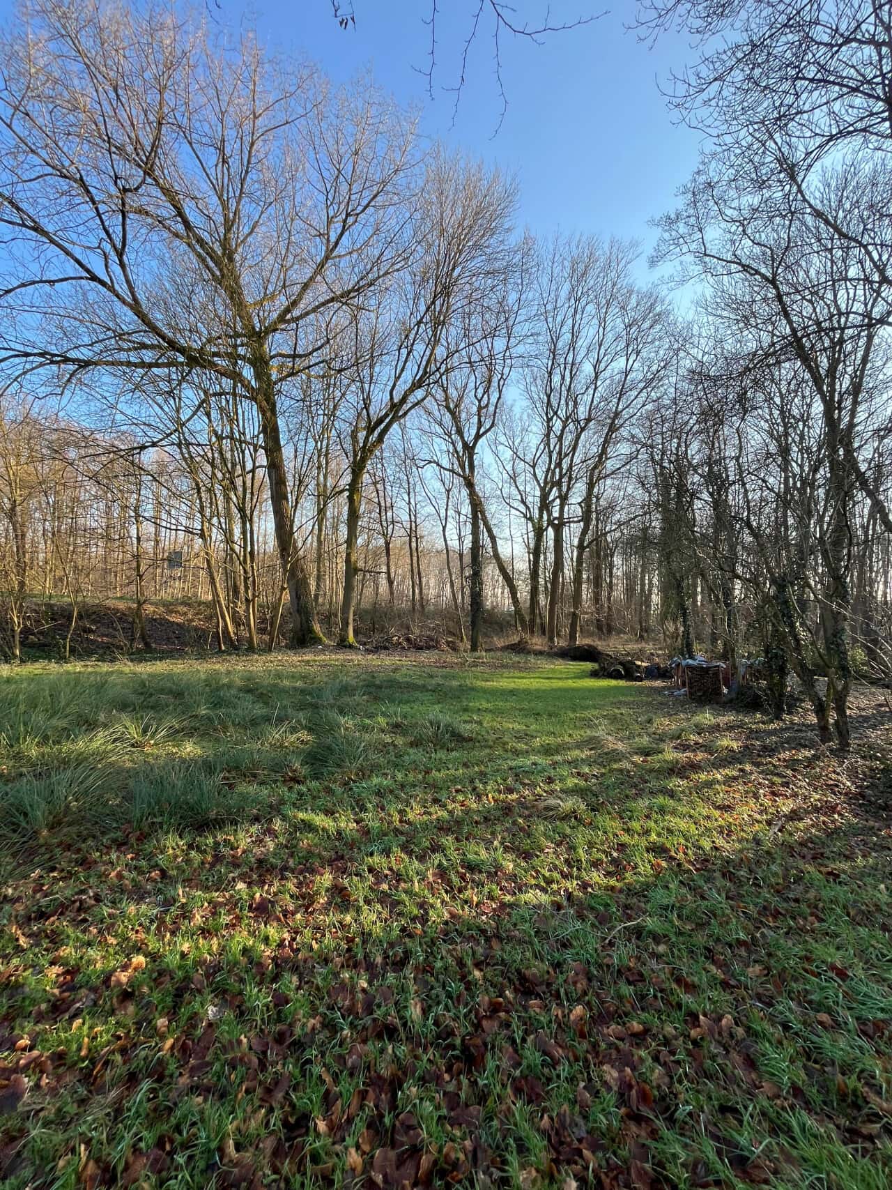 Wohngrundstück in Selfkant – Bild 2