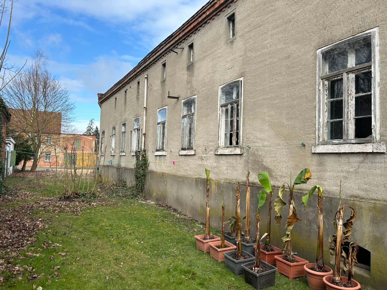 Zweifamilienhaus in südliches Anhalt OT Kleinbadegast – Bild 3