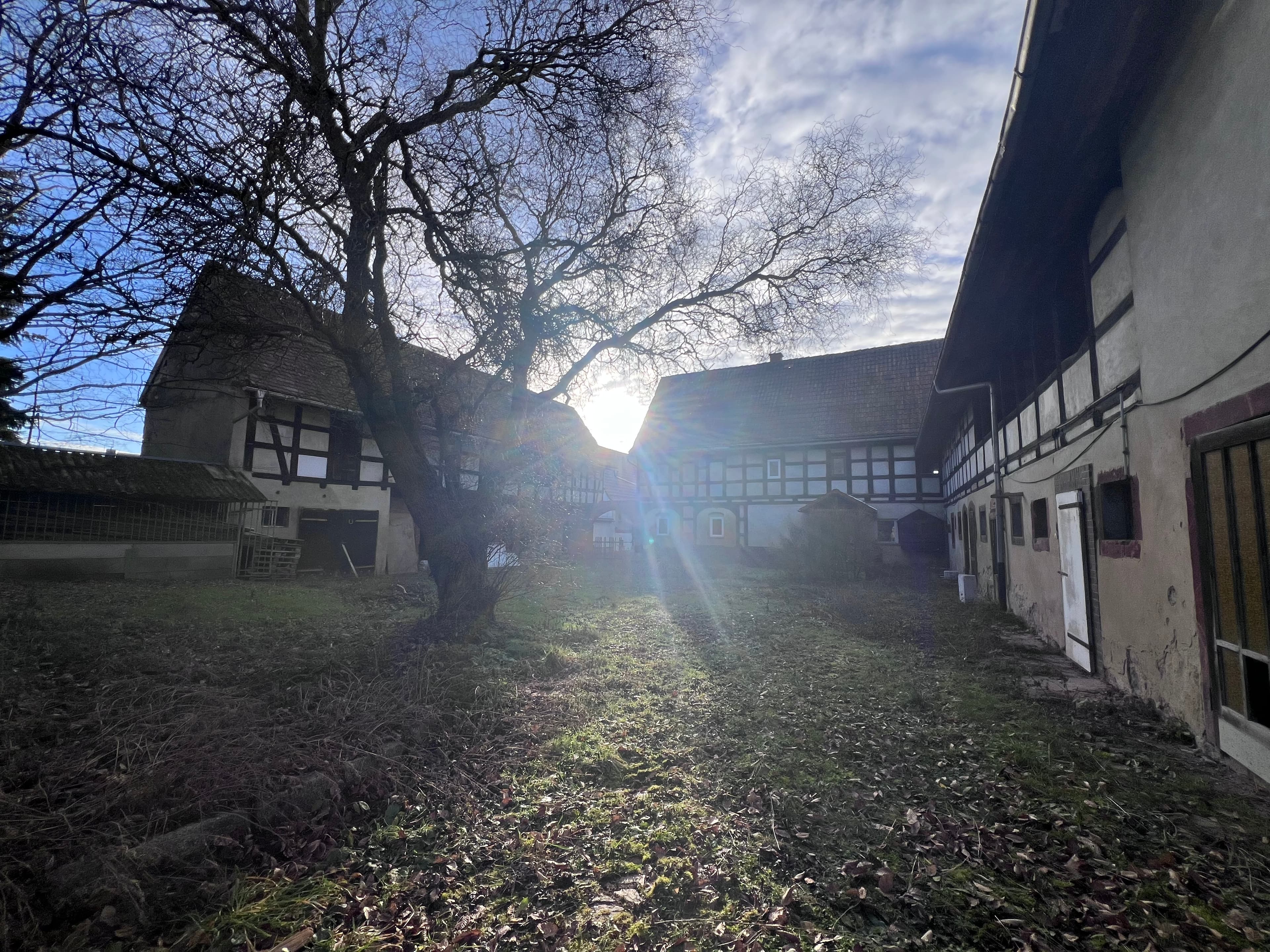Haus in Frohburg – Bild 7