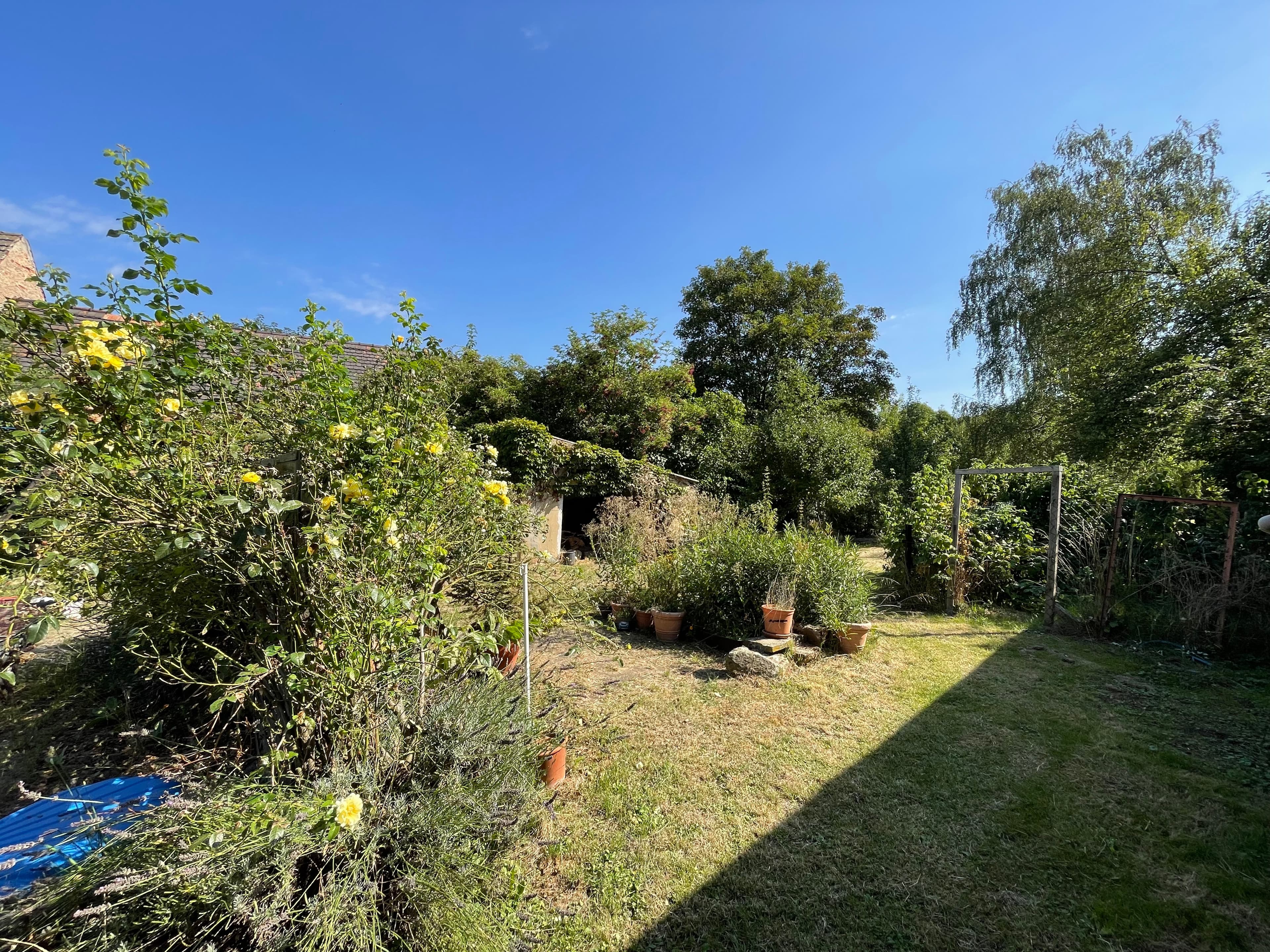 Haus in Elsteraue – Bild 13