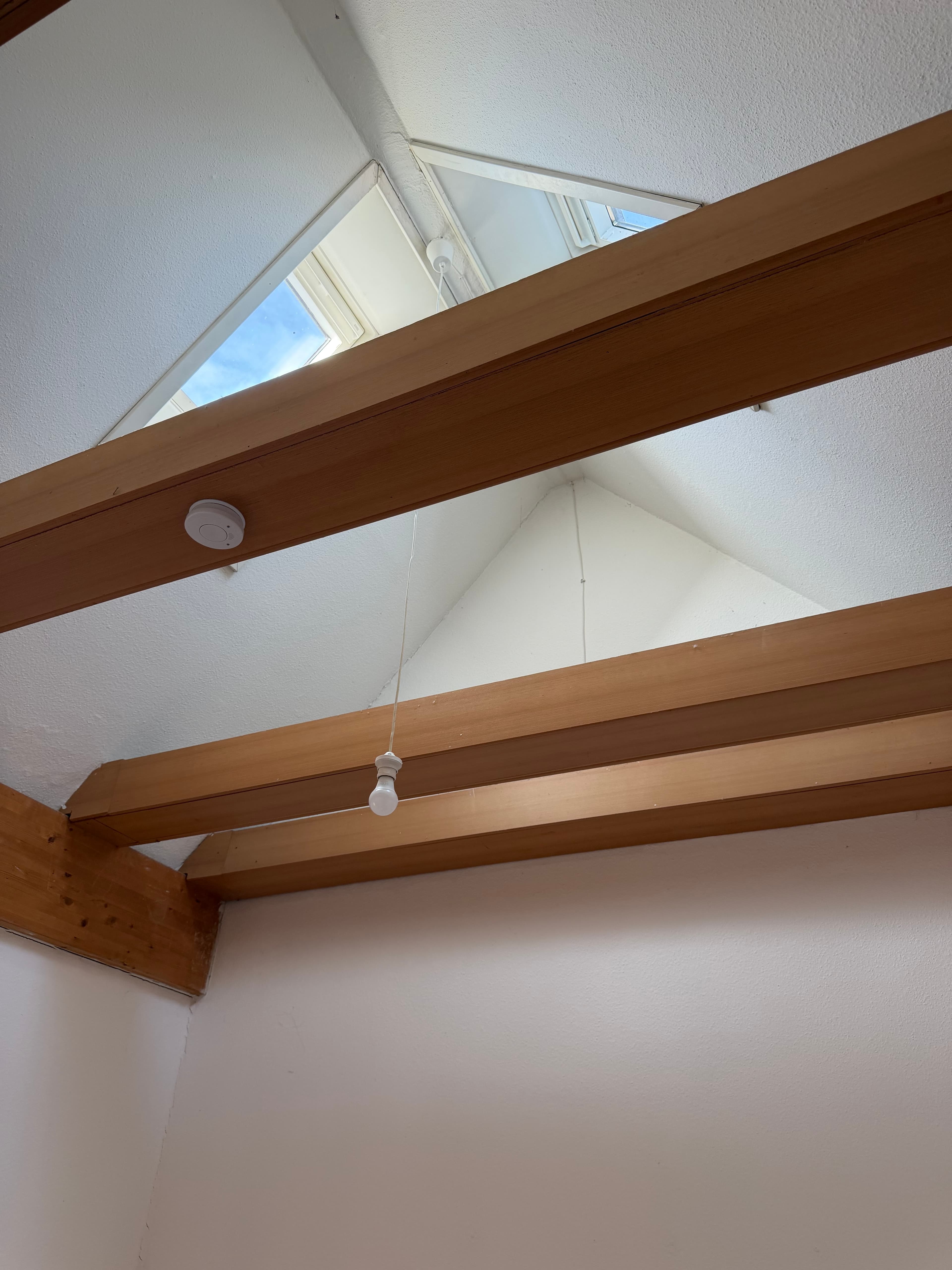 Wohnung in Markkleeberg – Bild 18