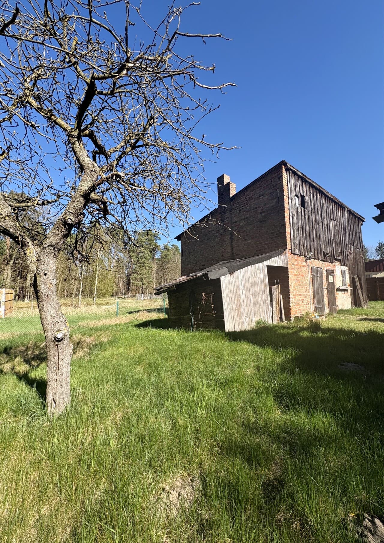 Einfamilienhaus in Torgelow – Bild 8