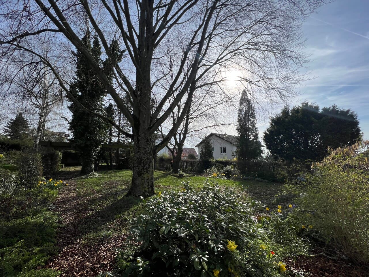 Einfamilienhaus in Nieder-Olm – Bild 6