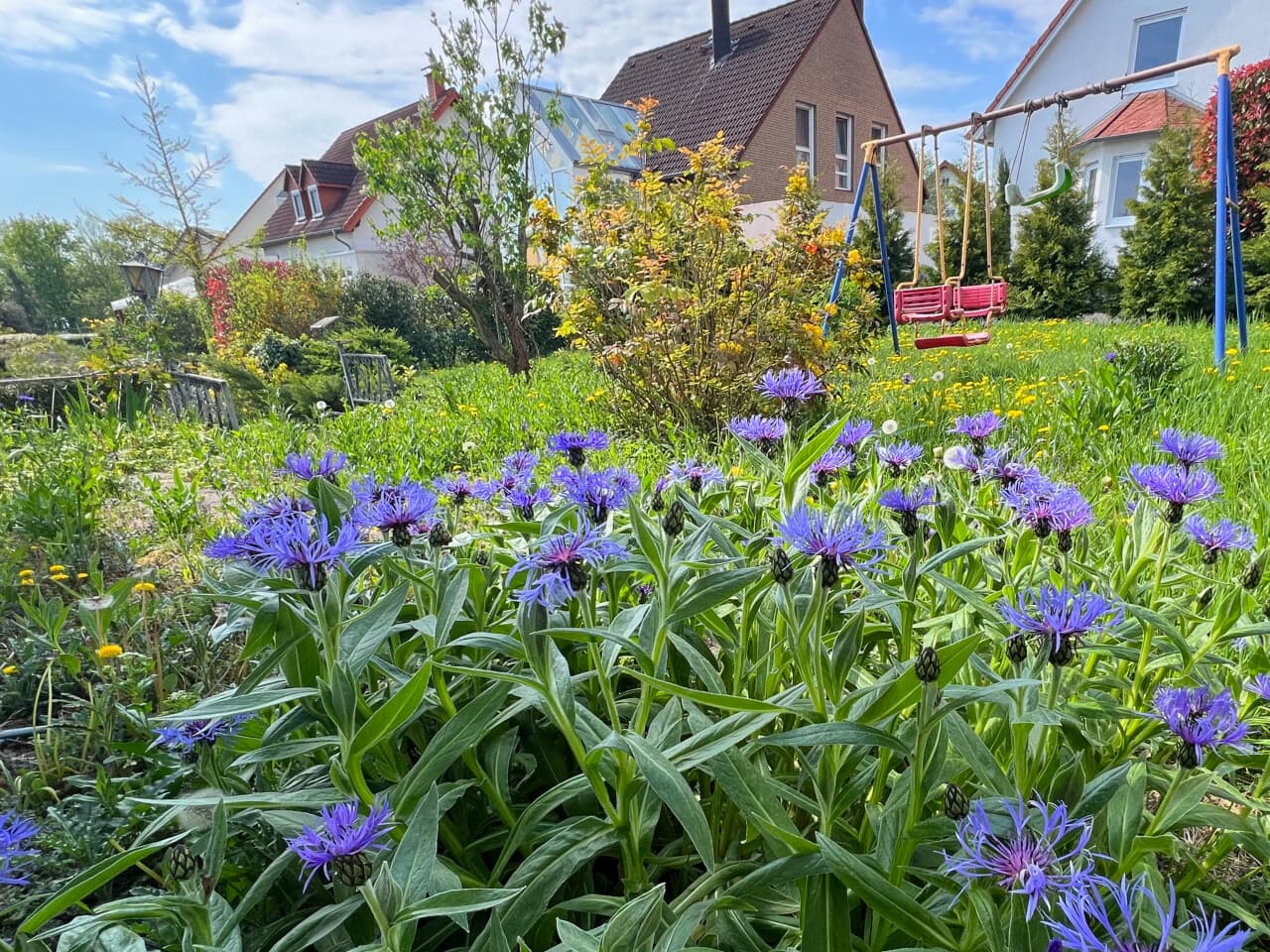 Einfamilienhaus in Essenheim – Bild 13