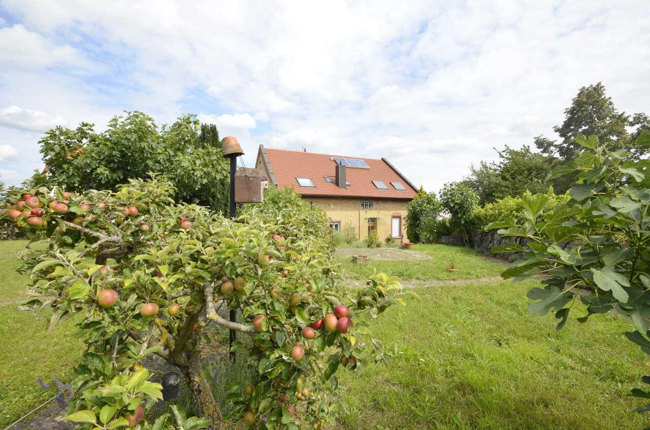 Villa in Gundersheim – Bild 6