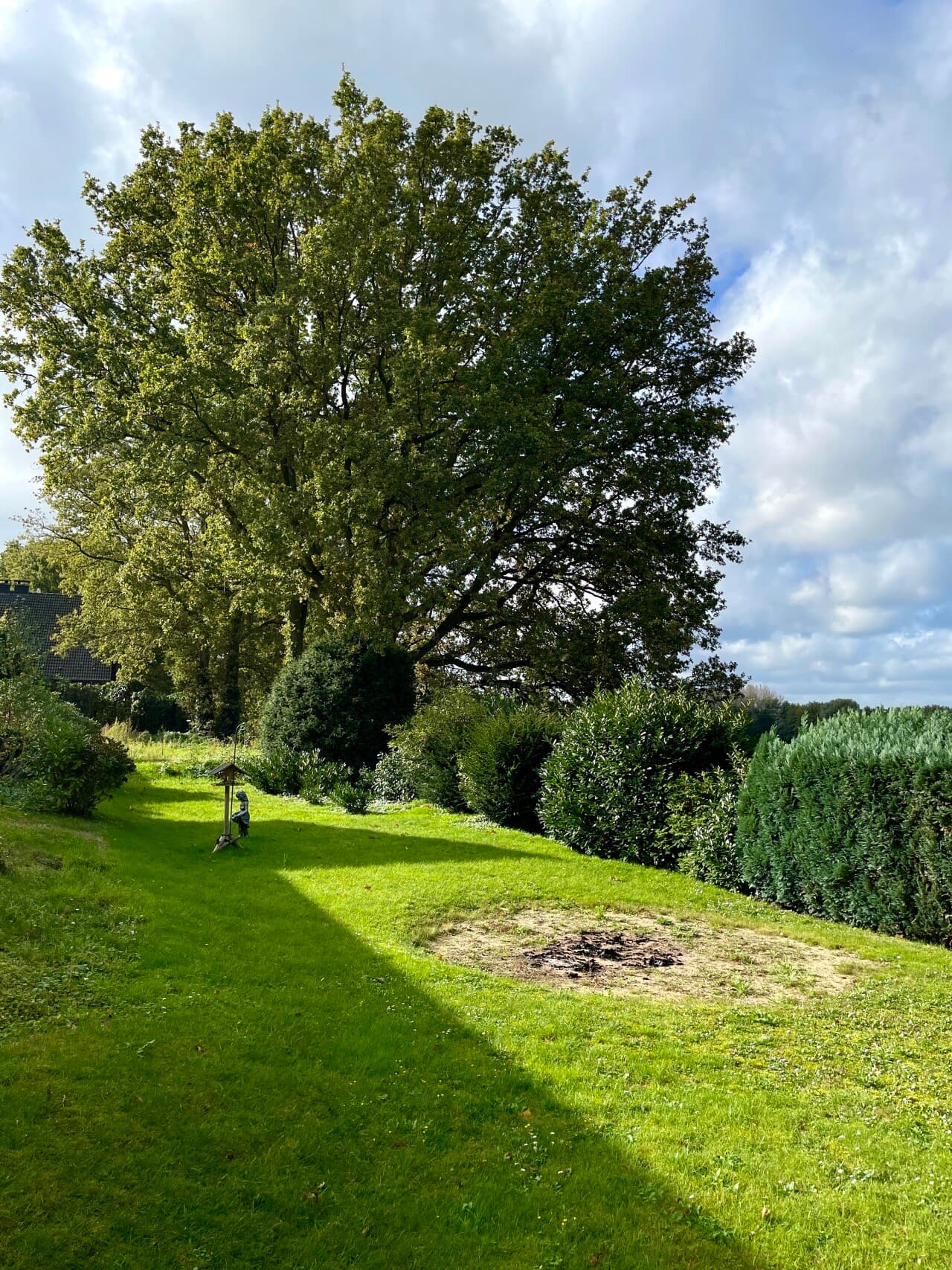 Bungalow in Selfkant – Bild 2