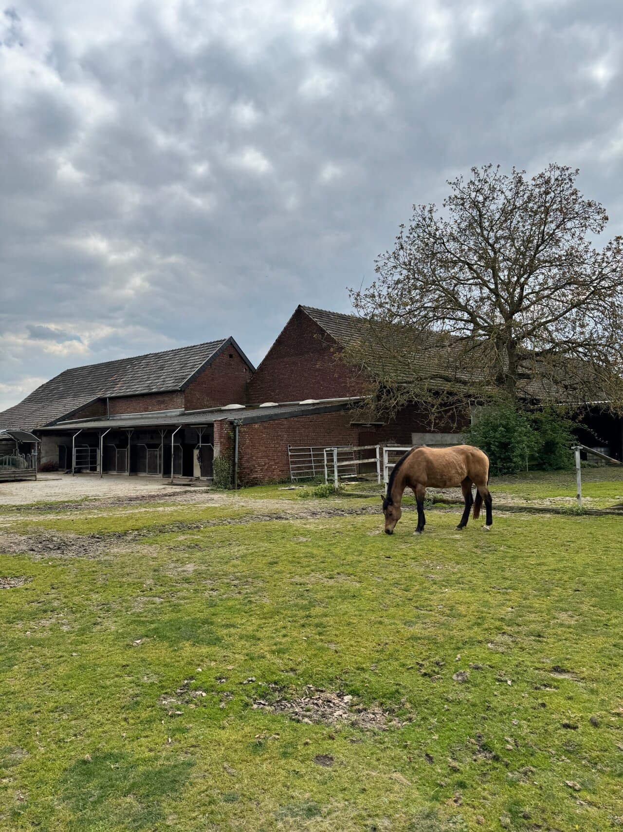 Einfamilienhaus in Erkelenz – Bild 17