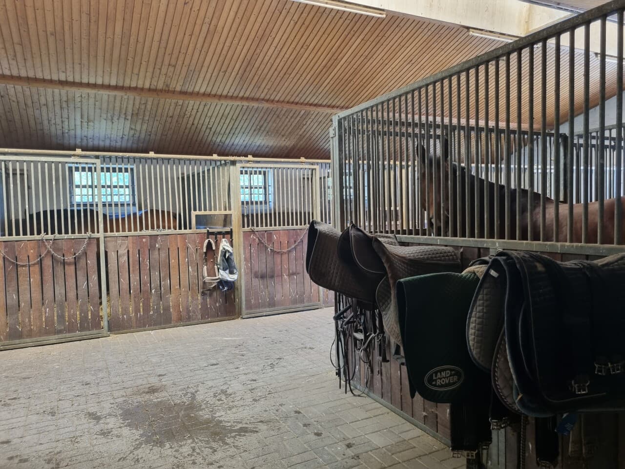 Reiterhof in Rohr i. NB – Bild 8