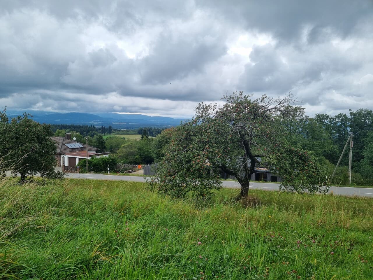 Wohngrundstück in Hofkirchen – Bild 2