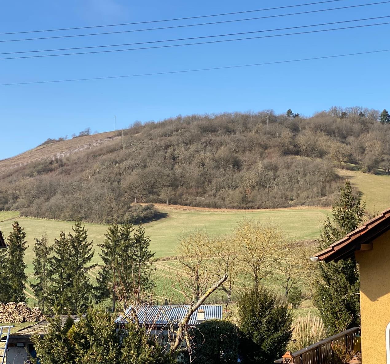 Einfamilienhaus in Niedermoschel – Bild 21
