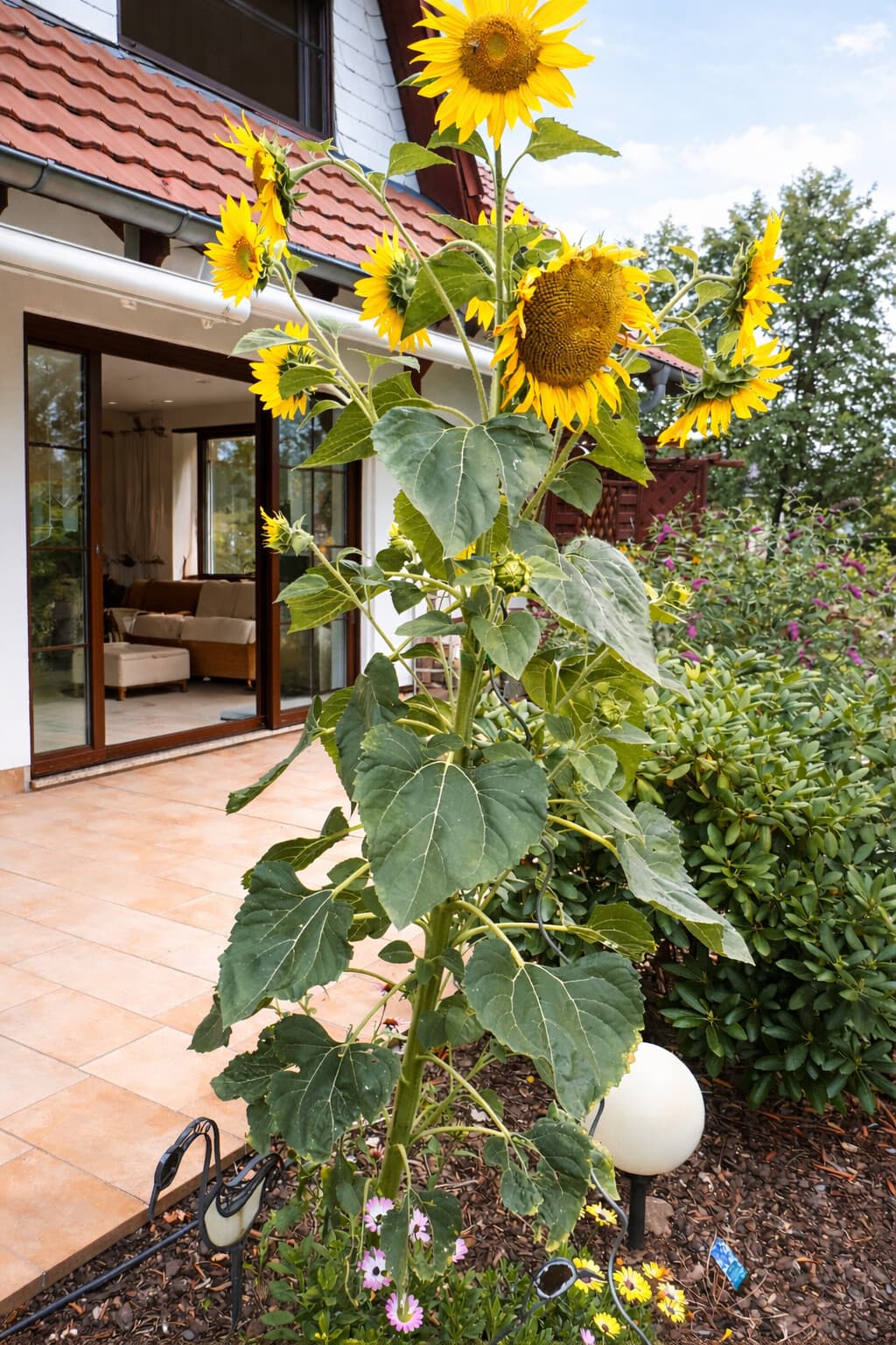 Einfamilienhaus in Kolzenburg – Bild 34