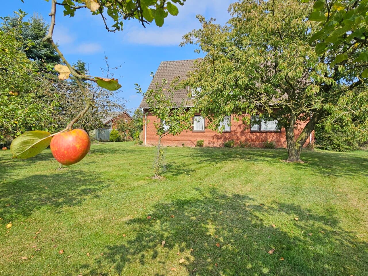 Einfamilienhaus in Schwarme – Bild 3
