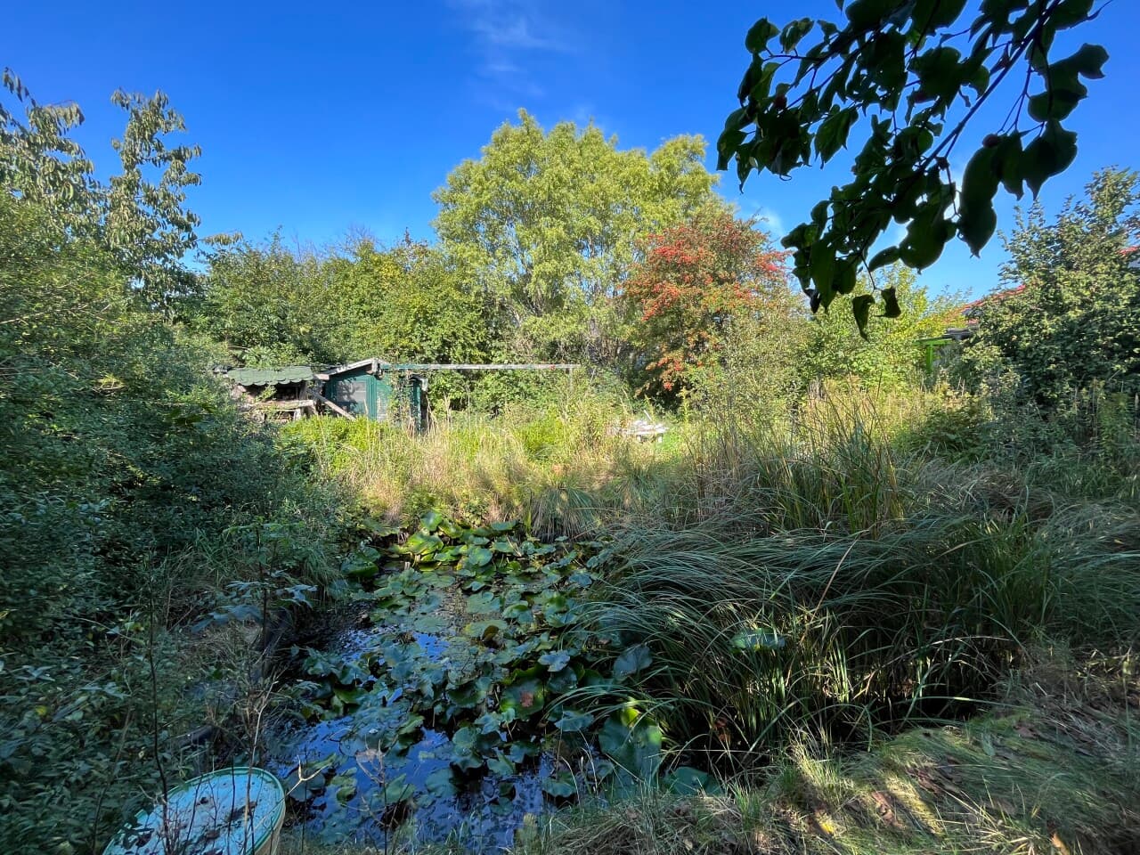 Bungalow in Tessin OT Vilz – Bild 11