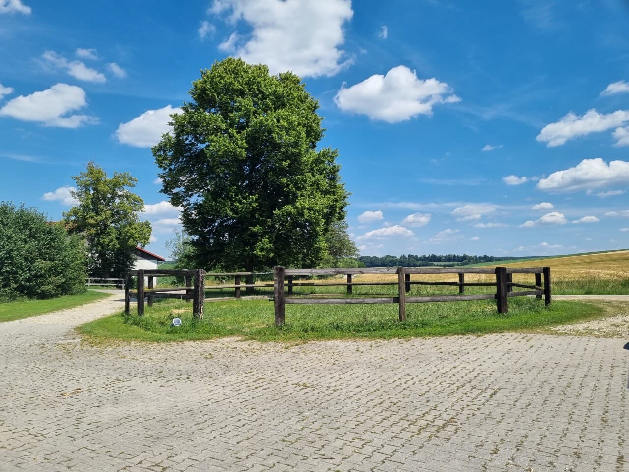 Reiterhof in Rohr i. NB – Bild 6