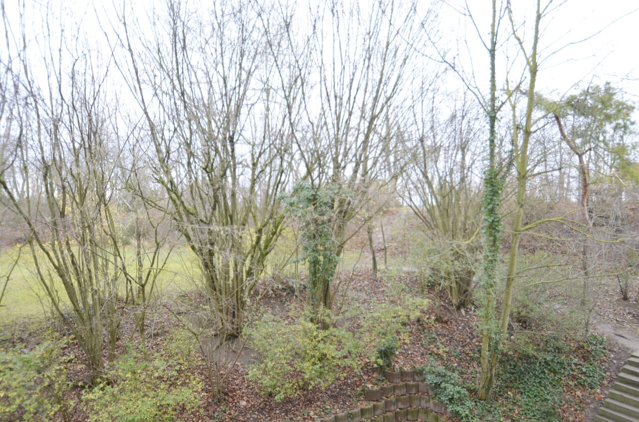 Etagenwohnung in Nieder-Olm – Bild 17