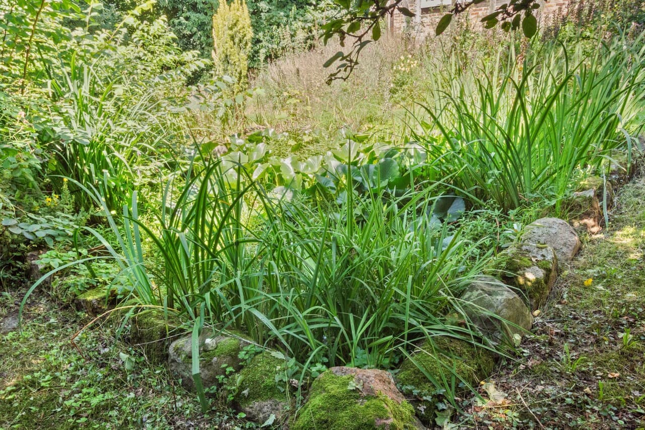 Einfamilienhaus in Westerholz – Bild 23