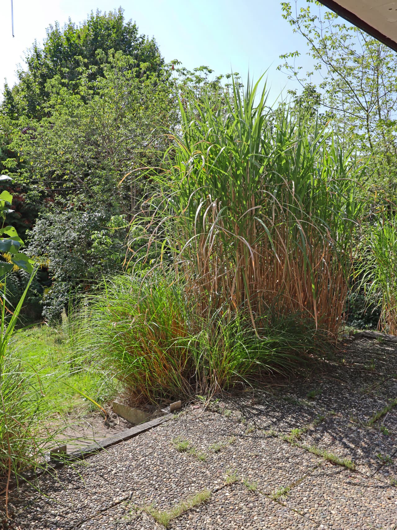 Einfamilienhaus in Bensheim – Bild 10