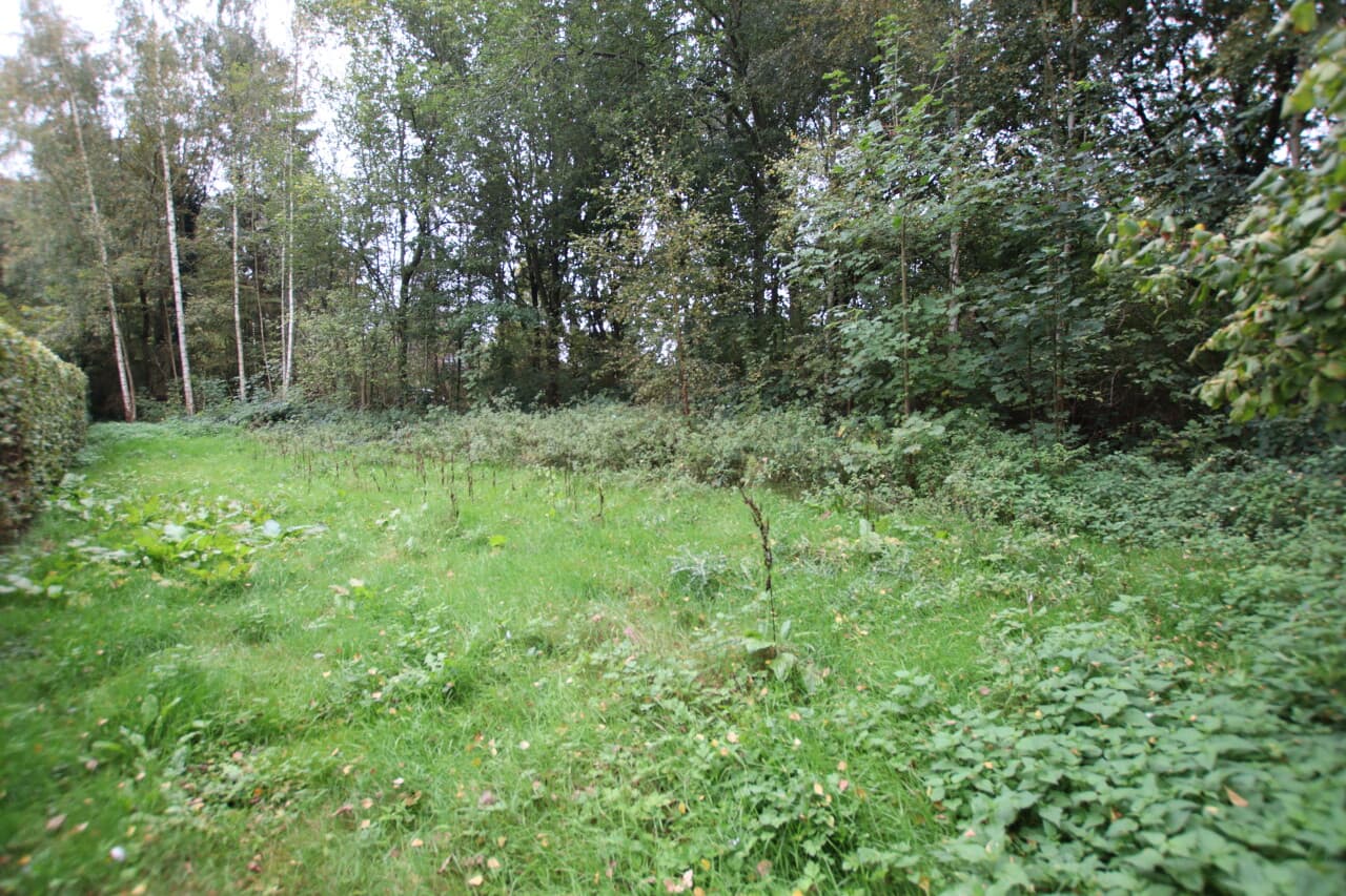 Einfamilienhaus in Schüttorf – Bild 31