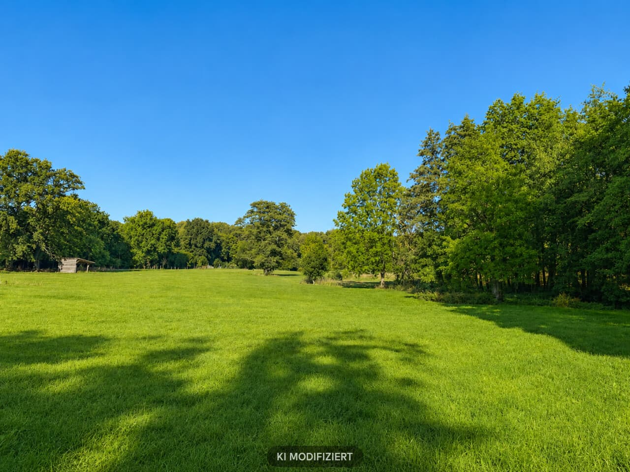 Resthof in Diesdorf – Bild 3