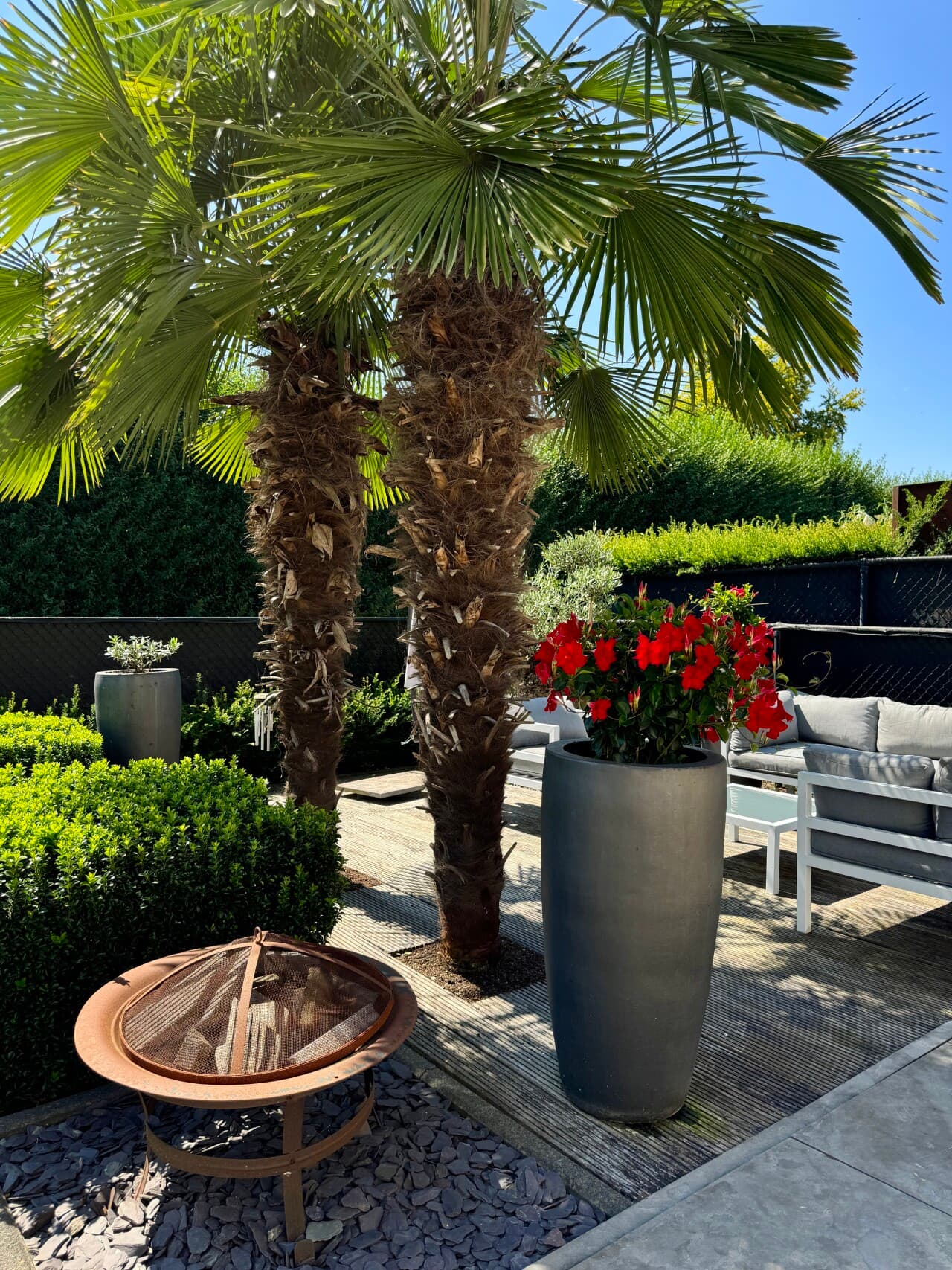 Einfamilienhaus in Selfkant – Bild 14