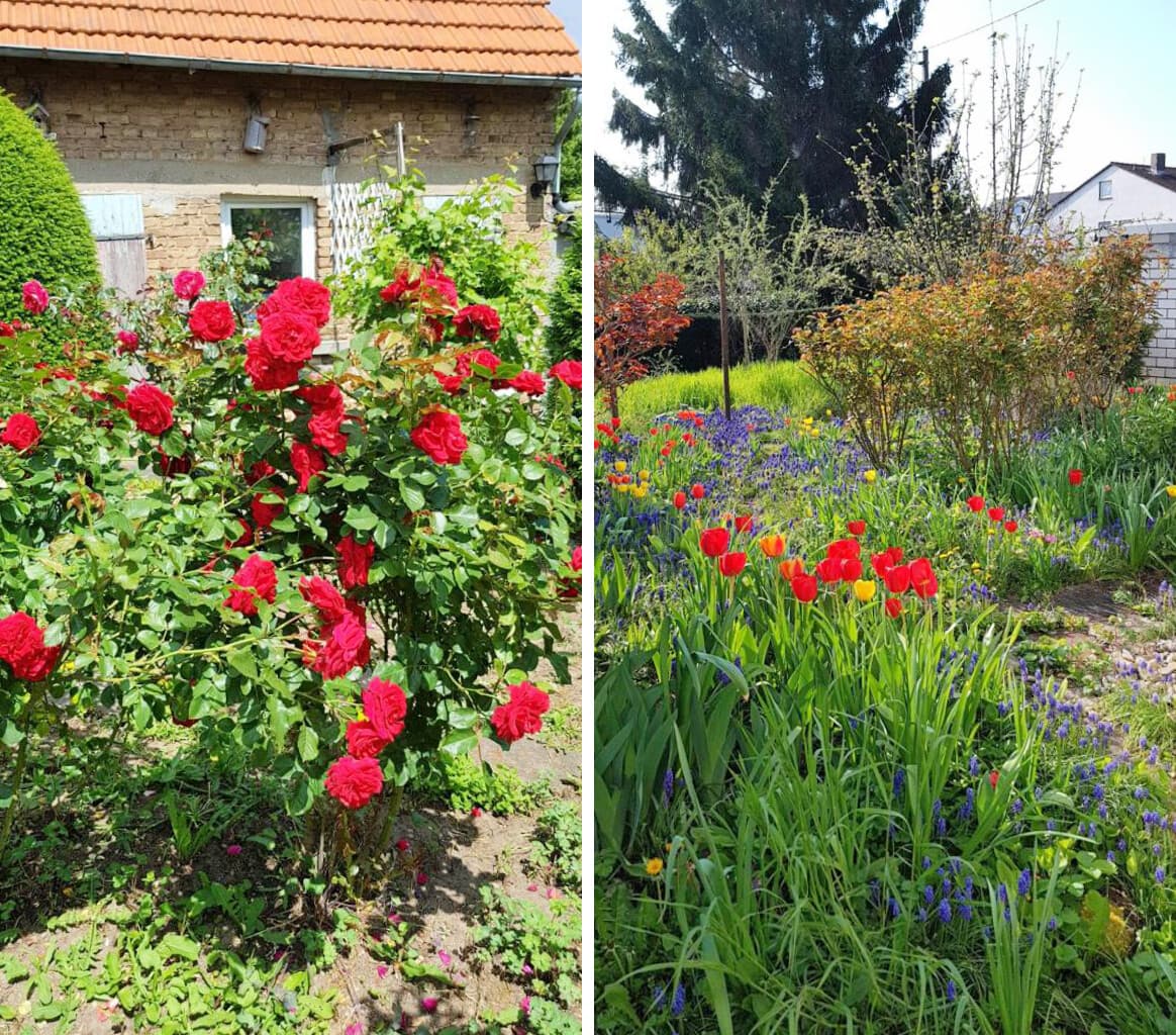 Mehrfamilienhaus in Hofheim-Marxheim – Bild 5