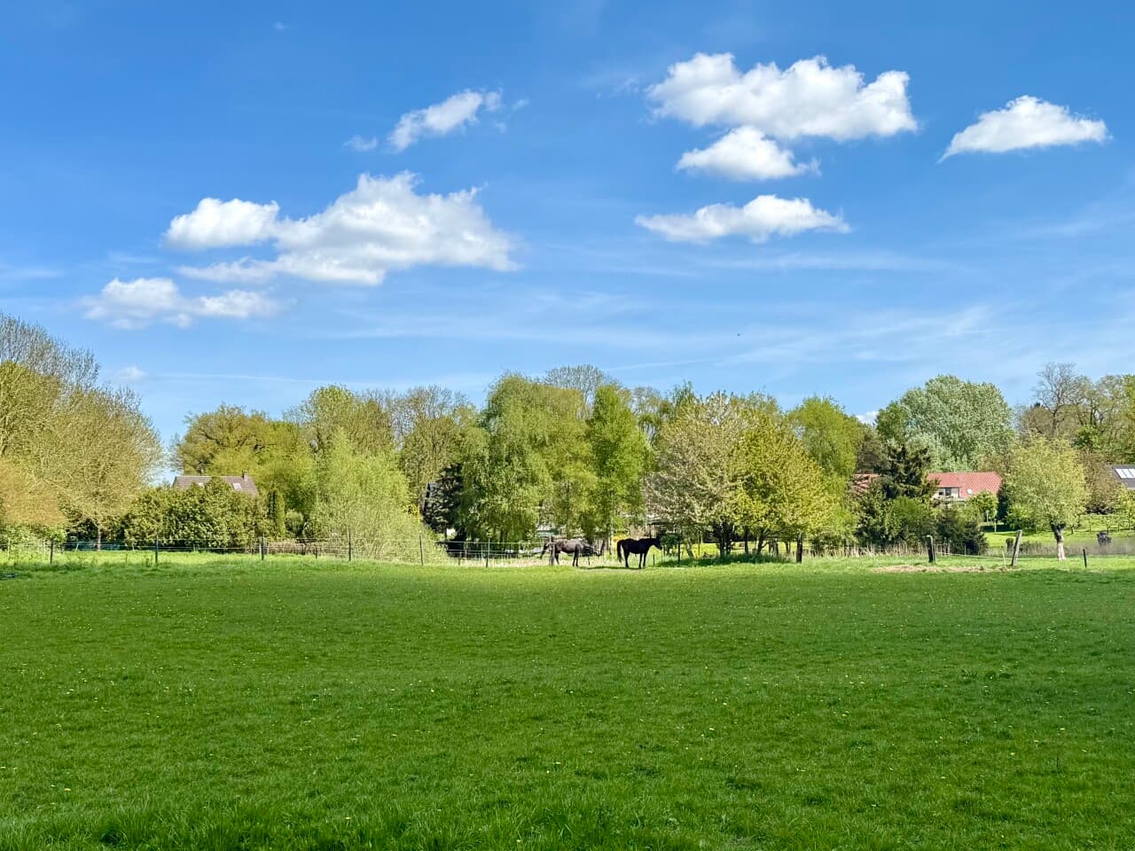 Doppelhaushälfte in Rostock – Bild 16