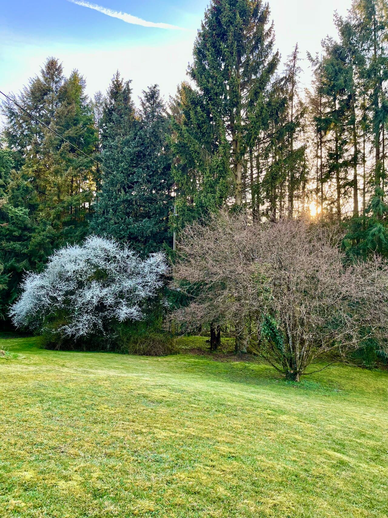 Einfamilienhaus in Breitenbach – Bild 7
