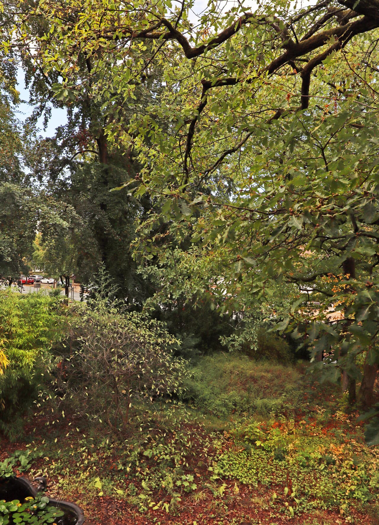 Etagenwohnung in Darmstadt – Bild 14