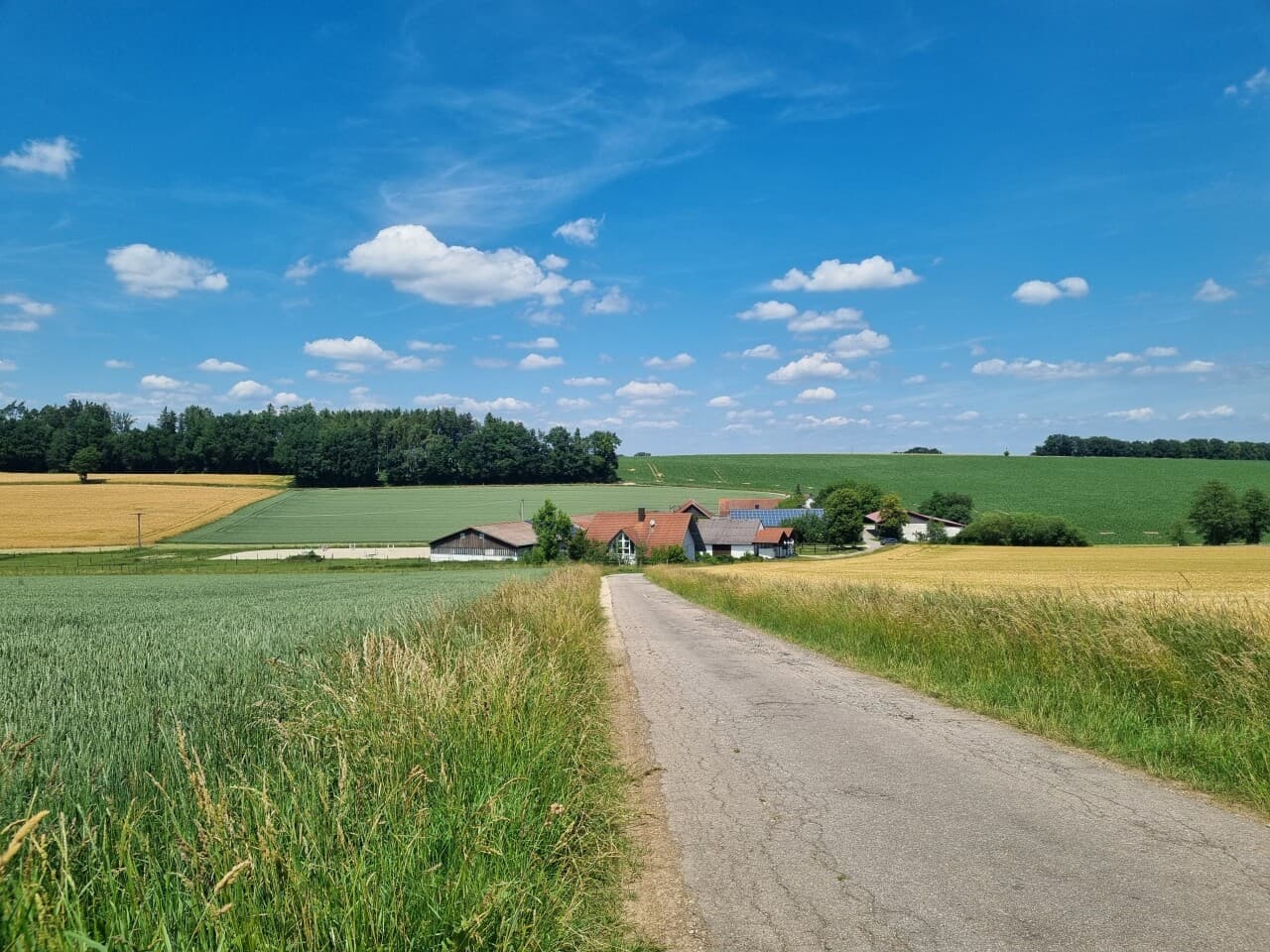 Reiterhof in Rohr i. NB – Bild 3