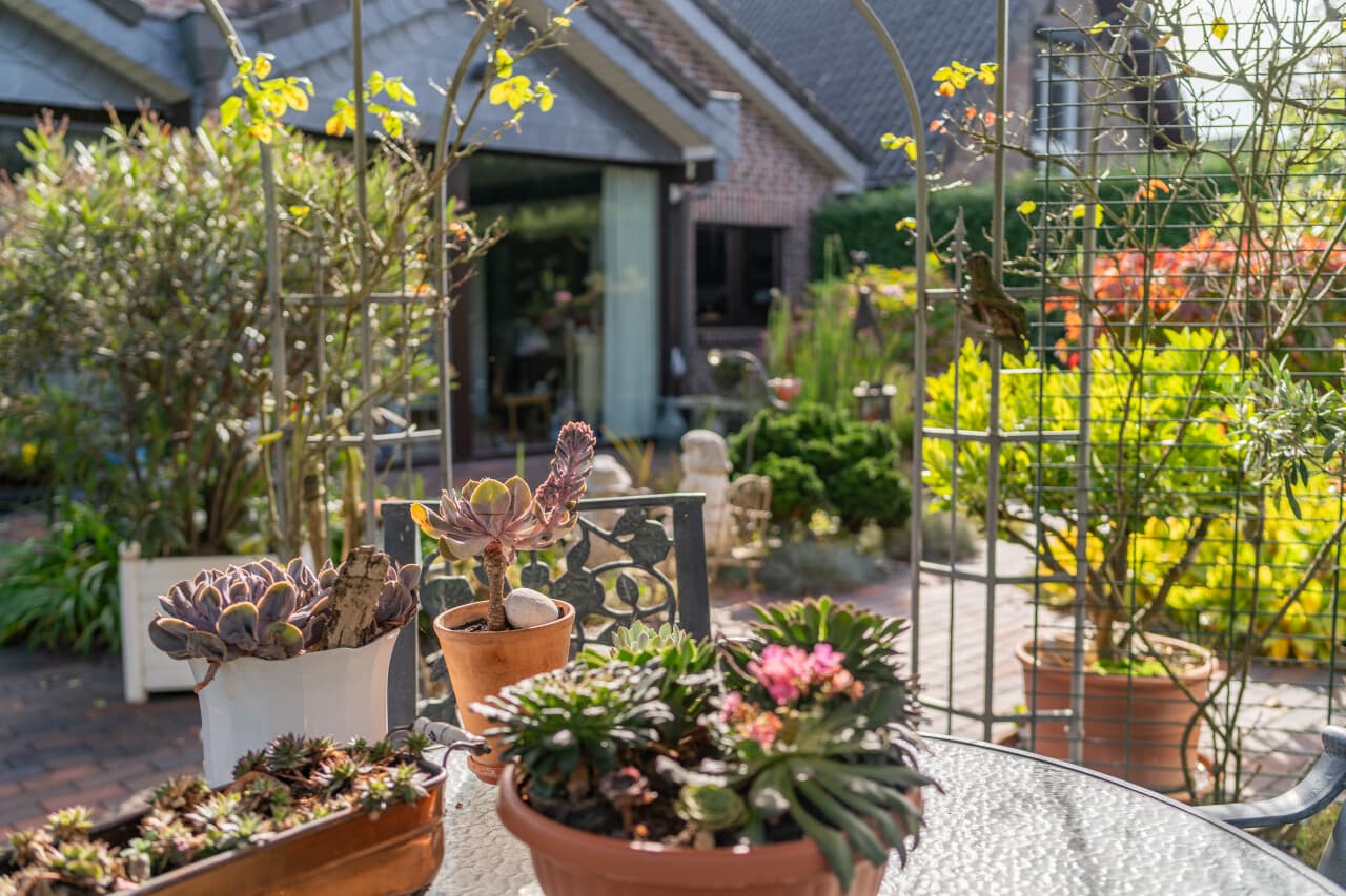 Einfamilienhaus in Kalkar-Wissel – Bild 33