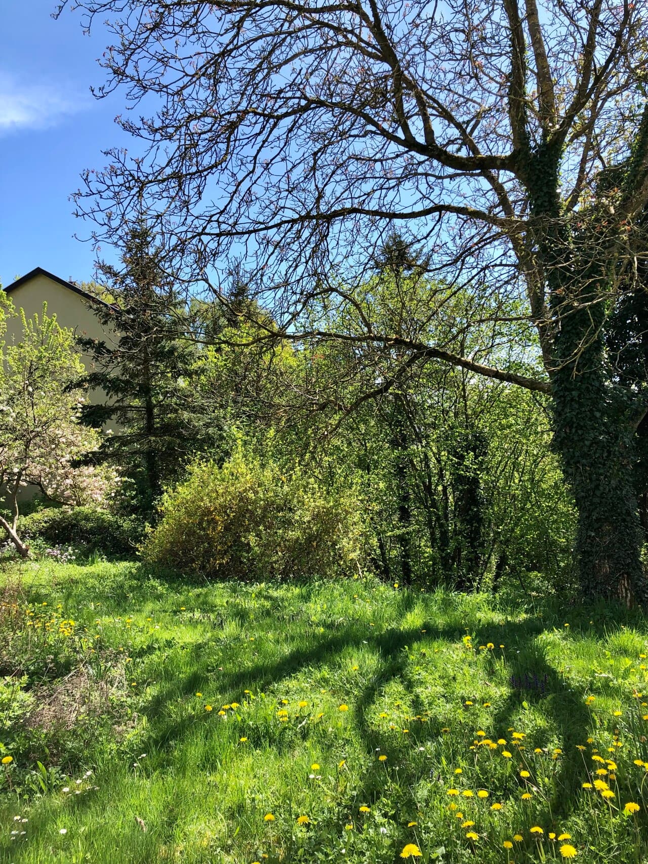 Einfamilienhaus in Breitenbach – Bild 37