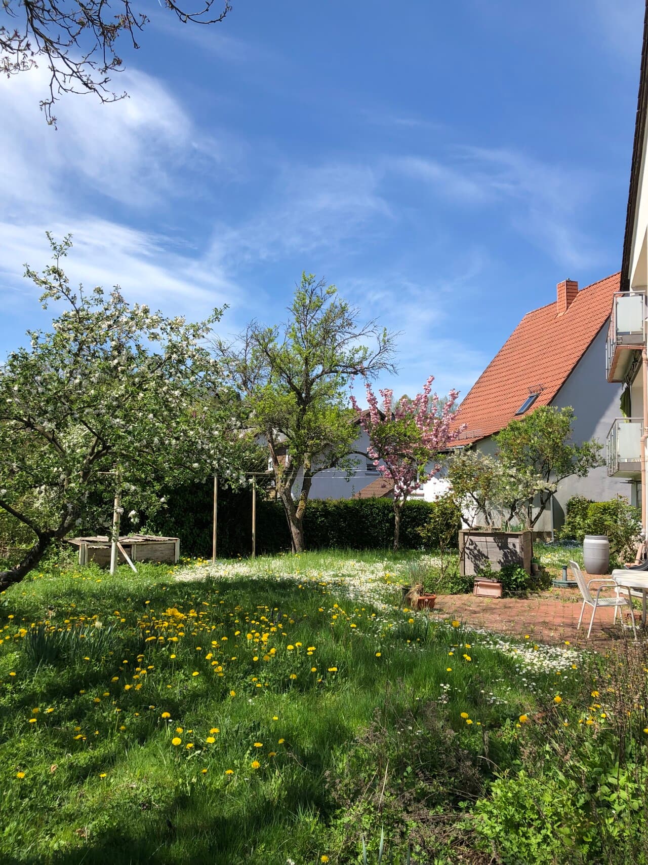Einfamilienhaus in Breitenbach – Bild 2