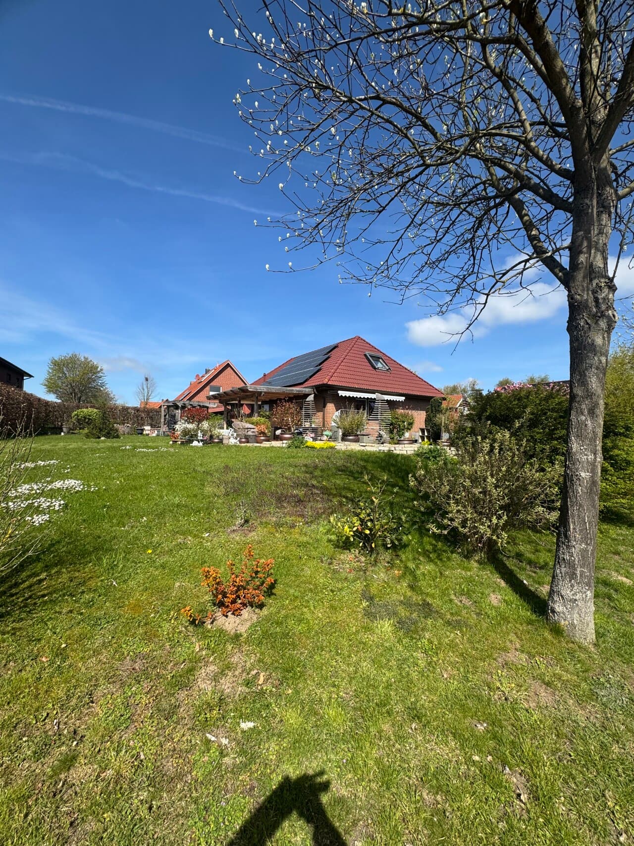 Einfamilienhaus in Behlendorf – Bild 3