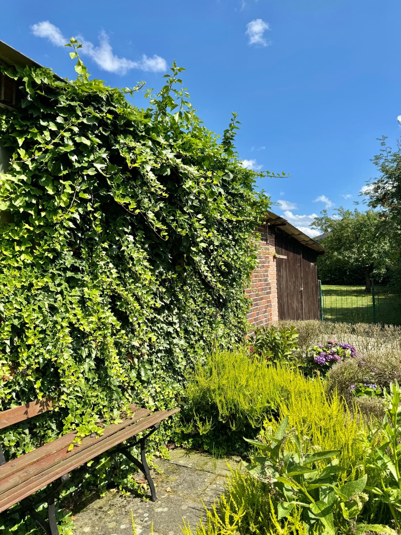 Bungalow in Selfkant – Bild 5