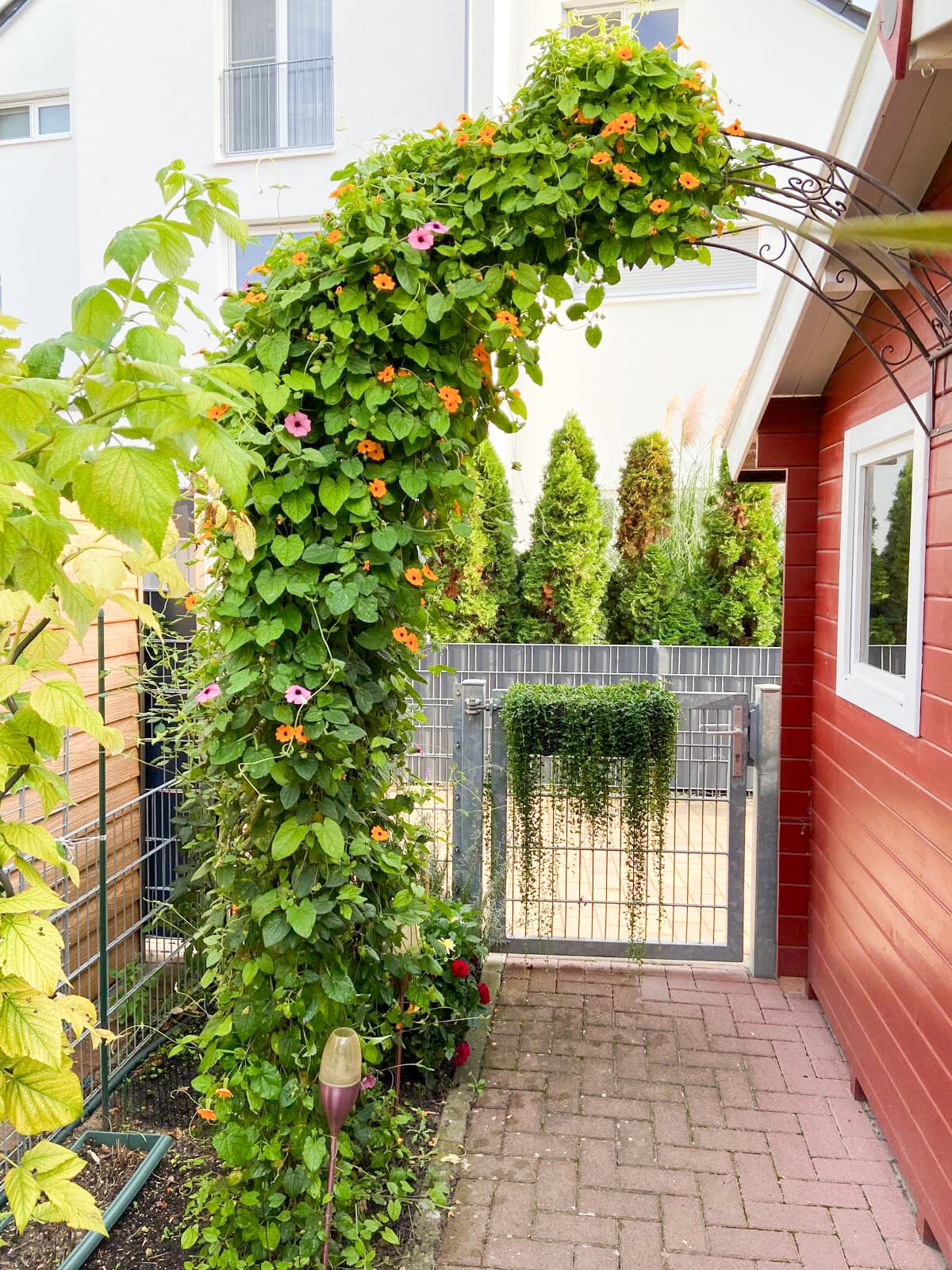 Reihenhaus in Mutterstadt – Bild 13