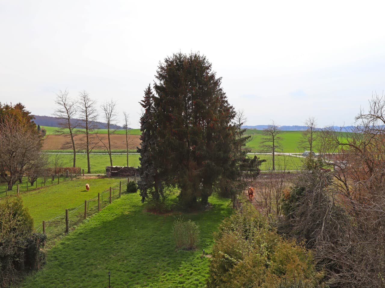 Einfamilienhaus in Ober-Ramstadt OT Rohrbach – Bild 2