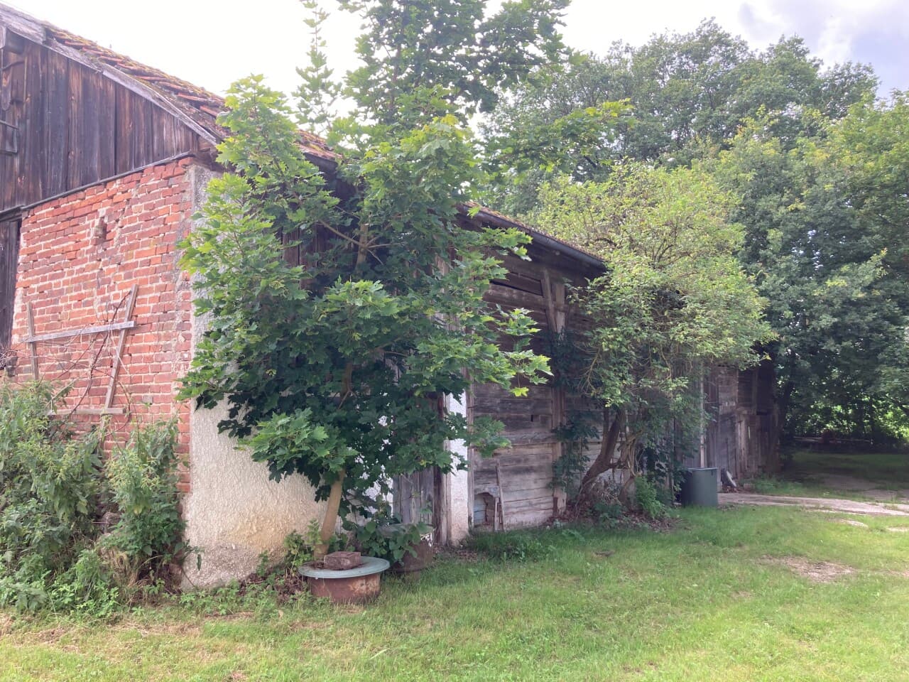 Bauernhaus in Rimbach – Bild 8